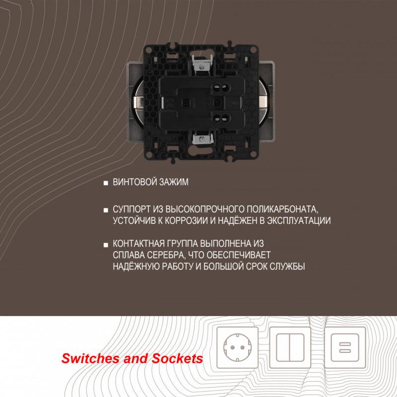 Розетка Arte Milano 217.40-2.shampan