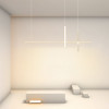 Подвесной светильник ImperiumLoft 220666-23