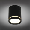 Накладной светильник Omnilux OML-102439-05