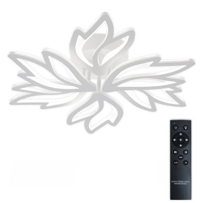 Накладная люстра Natali Kovaltseva LED LAMPS 81118/5C