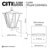 Светильник настенный Citilux CLU09W