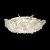 Накладной светильник LOFT IT 10594/780C White