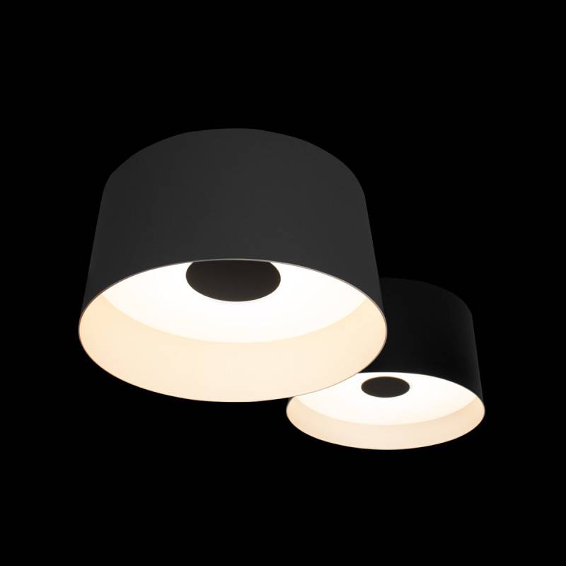 Накладной светильник LOFT IT 10360/2