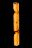 Бра Fluorite FL1195-7W