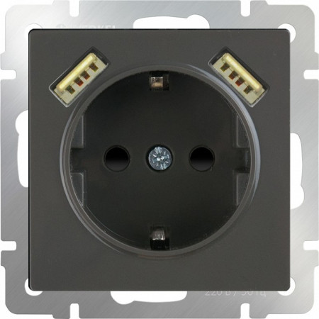 Розетка с заземлением, шторками и 2хUSB, без рамки Werkel WL07 WL07-SKGS-USBx2-IP20