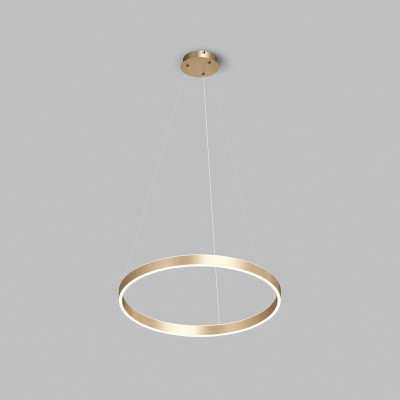 Подвесной светильник Denkirs DK6273-SG