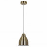 Подвесной светильник Arte Lamp Braccio A2054SP-1AB