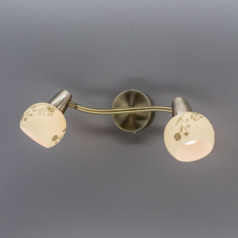 Спот Citilux CL520523