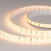 Лента Arlight 058981(1)