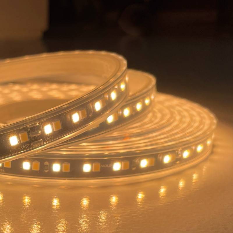 Лента Favourite 2001-62020