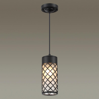 Подвесной уличный светильник Odeon Light 4834/1