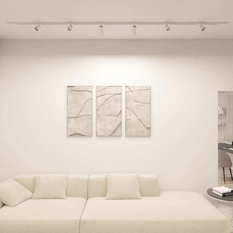 Светильник на шине Denkirs DK6060-BW+WH