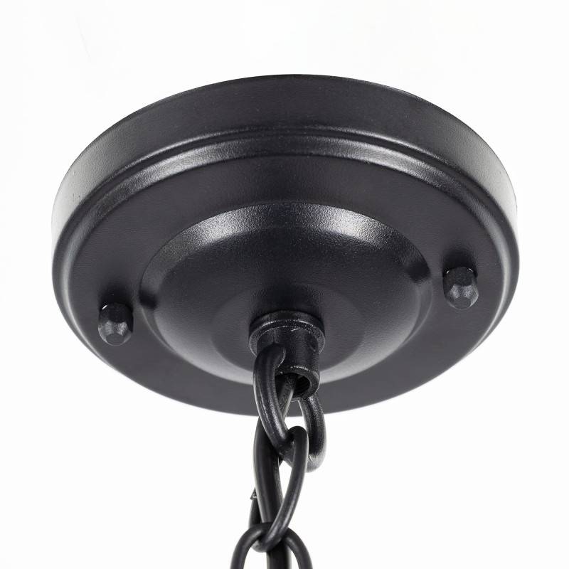 Подвесной уличный светильник Citilux CLU09S