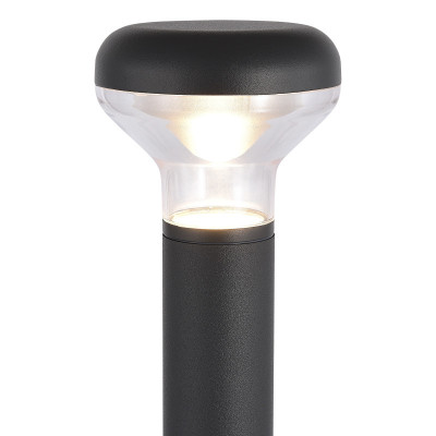 Садово-парковый светильник ST-Luce SL9541.705.01