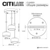 Подвесной светильник Citilux CL243031