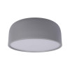 Потолочный детский светильник LOFT IT 10201/350 Grey