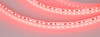 Лента Arlight 042905(1)