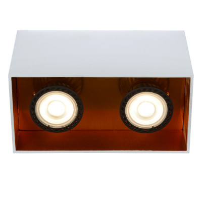 Накладной светильник LUCIDE 22966/02/31