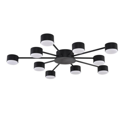 Накладная люстра LUMION 8344/10C