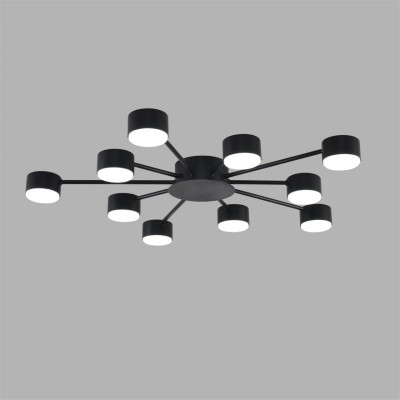 Накладная люстра LUMION 8344/10C