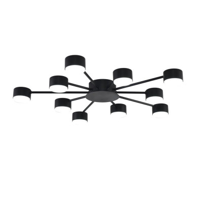 Накладная люстра LUMION 8344/10C