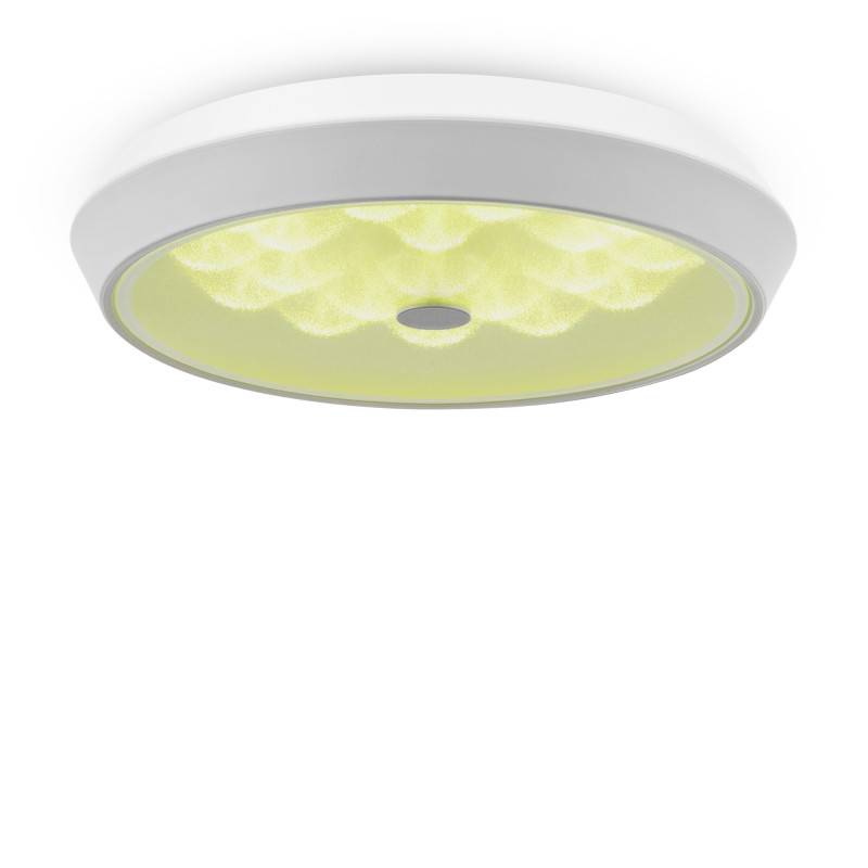 Накладной светильник Freya FR10012CL-L24W