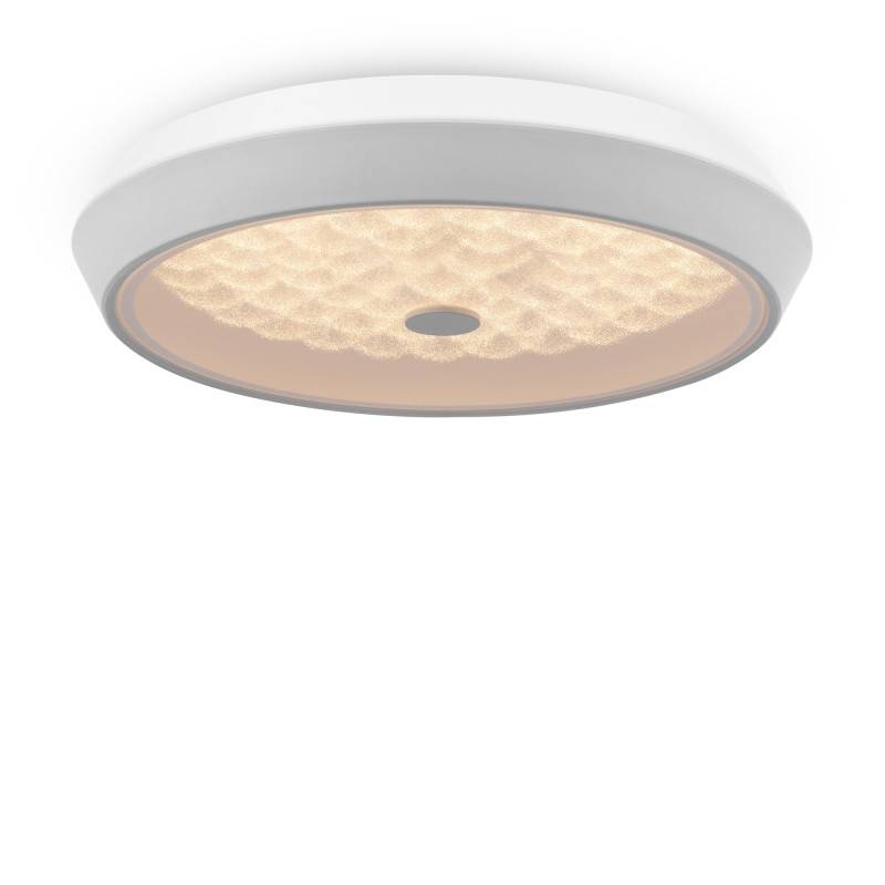 Накладной светильник Freya FR10012CL-L24W