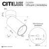 Спот Citilux CL512210