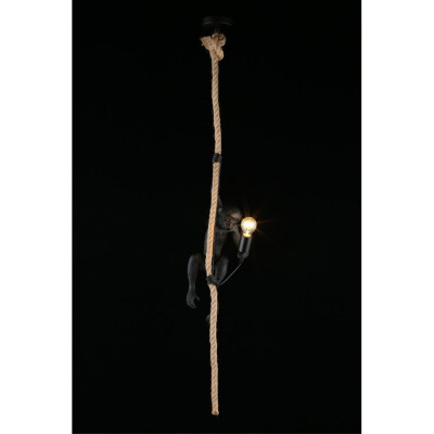 Потолочный детский светильник APLOYT APL.309.16.01