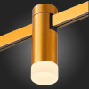 Светильник на шине ST-Luce ST812.206.03