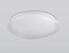 Накладной светильник Ambrella Light FZ1601