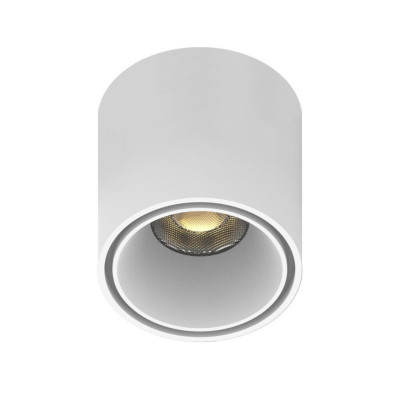 Светильник на шине APLOYT APL.0109.10.06