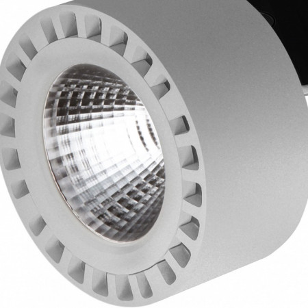 Светильник на штанге Lightstar Forte IP65 381393
