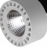 Светильник на штанге Lightstar Forte IP65 381393