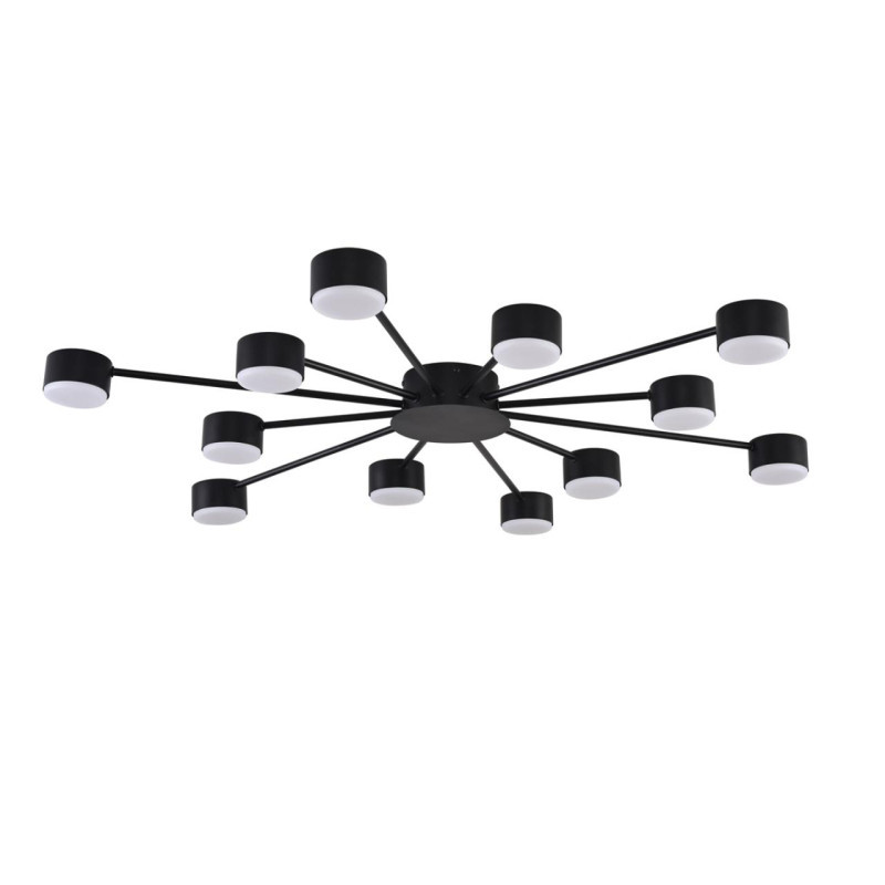 Накладная люстра LUMION 8344/12C