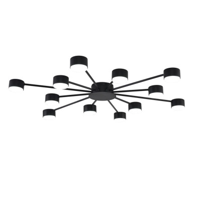 Накладная люстра LUMION 8344/12C