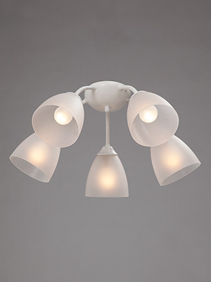 Накладная люстра Vitaluce V3737-0/5PL