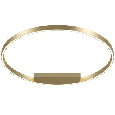 Накладной светильник Maytoni MOD058CL-L50BSK