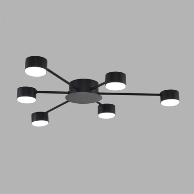 Накладная люстра LUMION 8344/6C