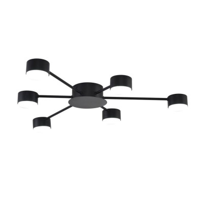 Накладная люстра LUMION 8344/6C