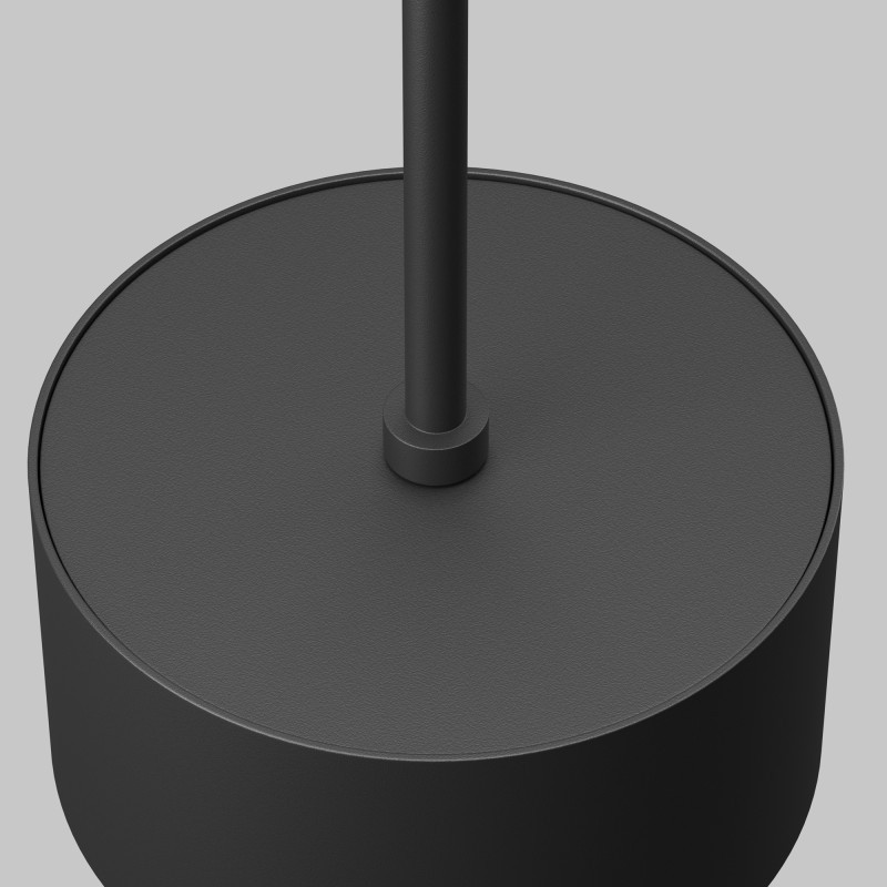 Подвесной светильник Maytoni Technical P102PL-12W4K-B