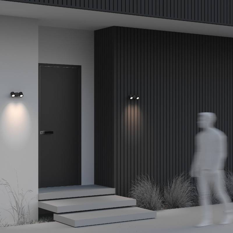 Светильник настенный Maytoni O010WL-02B