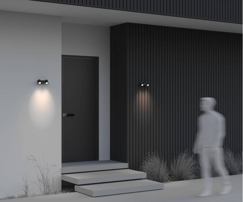 Светильник настенный Maytoni O010WL-02B