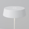 Уличный настольный светильник Maytoni O540TL-L2WCCT