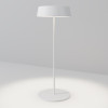 Уличный настольный светильник Maytoni O540TL-L2WCCT