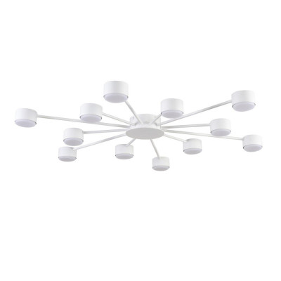 Накладная люстра LUMION 8343/12C