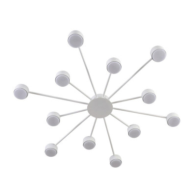 Накладная люстра LUMION 8343/12C