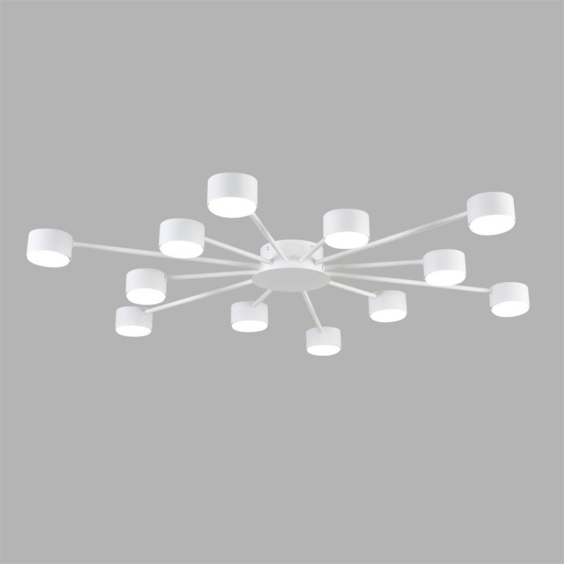 Накладная люстра LUMION 8343/12C