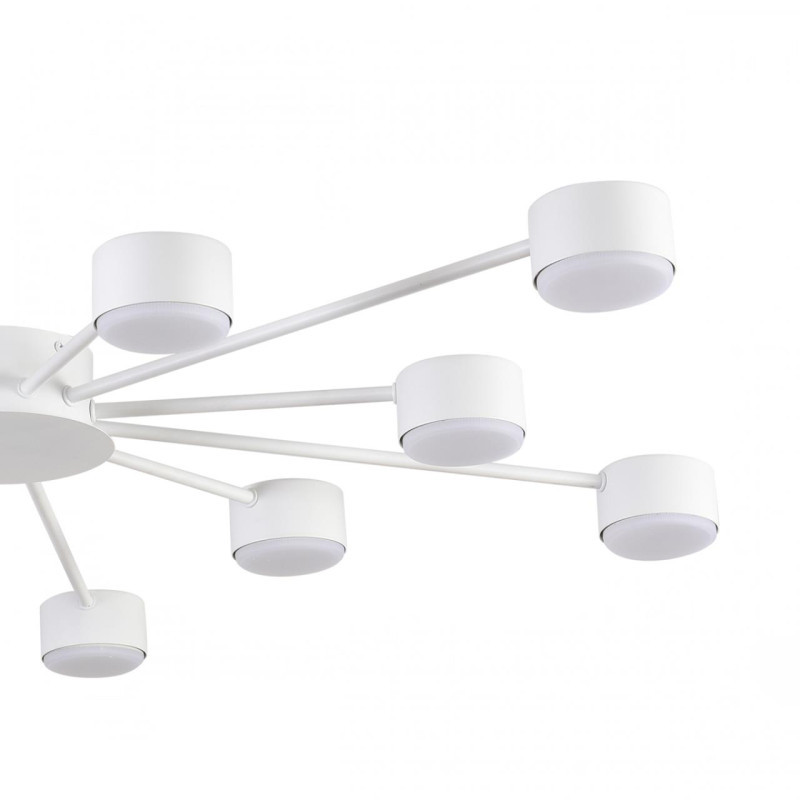 Накладная люстра LUMION 8343/12C