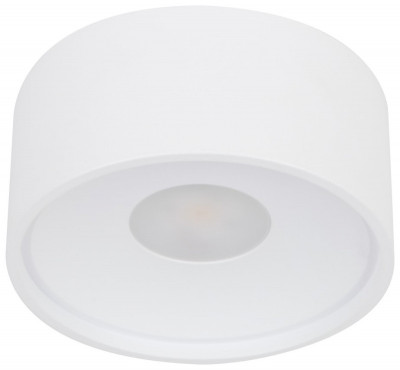 Влагозащищенный светильник WERTMARK WTA.O01.007.30.07